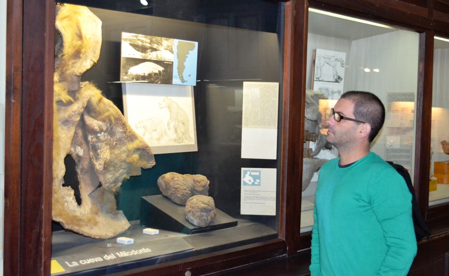 Secretos de una joya del Museo de La Plata: científicos del CONI
